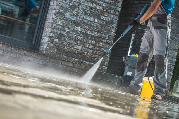 Best Roof Cleaning and Mildew Removal in Moose Wilson Road, WY